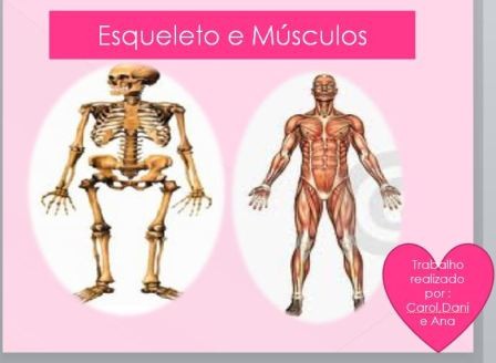Projeto: "O Esqueleto Humano"